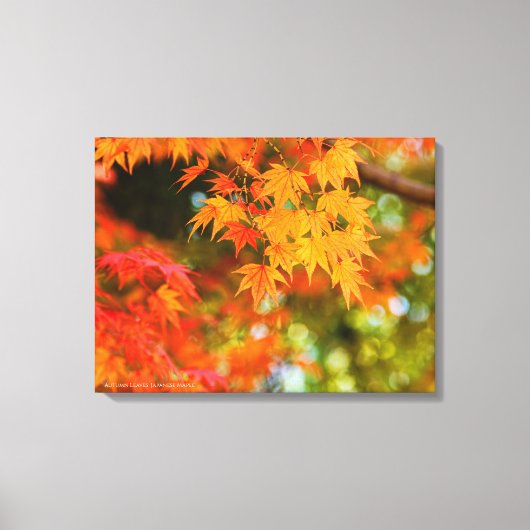 Autumn Leaves [Canvas Print] キャンバスプリント (正面)