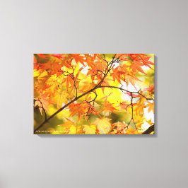 Autumn Leaves [Canvas Print] キャンバスプリント