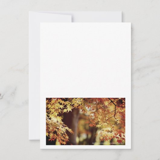 Autumn Leaves [Flat Card] 案内状 (裏面)