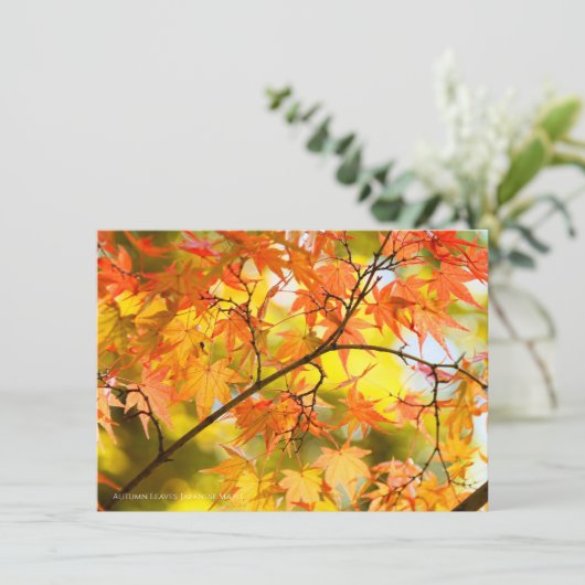 Autumn Leaves [Flat Card] 案内状 (スタンド正面)
