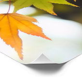 Autumn Leaves [Glossy Poster] ポスター (コーナー)