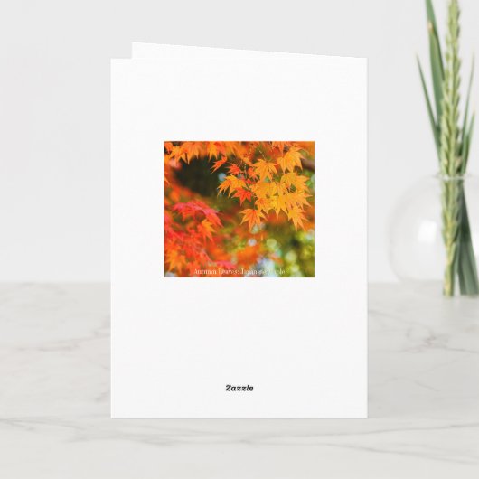 Autumn Leaves [Greeting Card] カード (裏面)