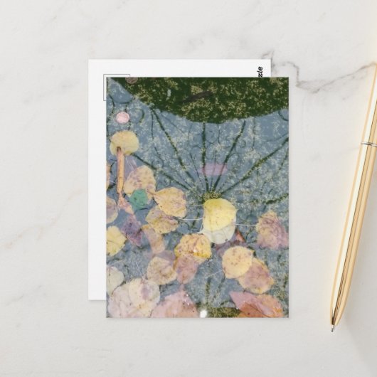 Autumn leaves in a Pella Iowa Fountain Abstract ポストカード (正面/裏面インサイチュ)