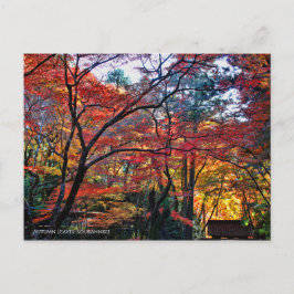 Autumn Leaves: Kourannkei [Postcard] ポストカード