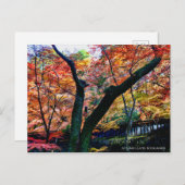 Autumn Leaves: Kourannkei [Postcard] ポストカード (正面/裏面)