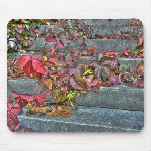 Autumn leaves mousepad マウスパッド (正面)