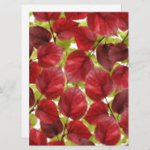 Autumn Leaves Pattern (正面/裏面)