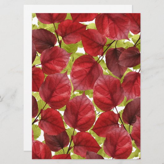 Autumn Leaves Pattern (正面/裏面)