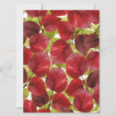 Autumn Leaves Pattern (正面)