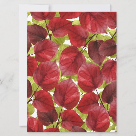 Autumn Leaves Pattern (正面)