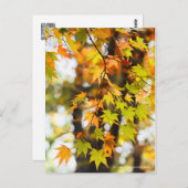 Autumn Leaves [Postcard] ポストカード (正面/裏面)