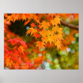 Autumn Leaves [Poster] ポスター (正面)
