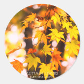 Autumn Leaves [Round Seal] ラウンドシール (正面)