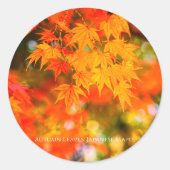 Autumn Leaves [Round Seal] ラウンドシール (正面)