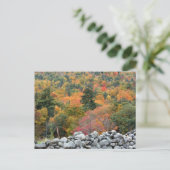 Autumn Leaves Stone Wall Personalized ポストカード (スタンド正面)