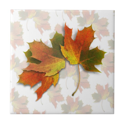 Autumn Leaves Thanksgiving タイル (正面)