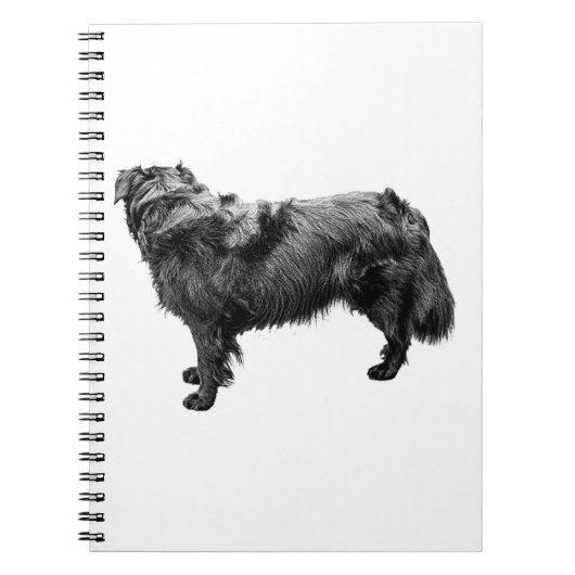 Autumn Ledger ノートブック (正面)