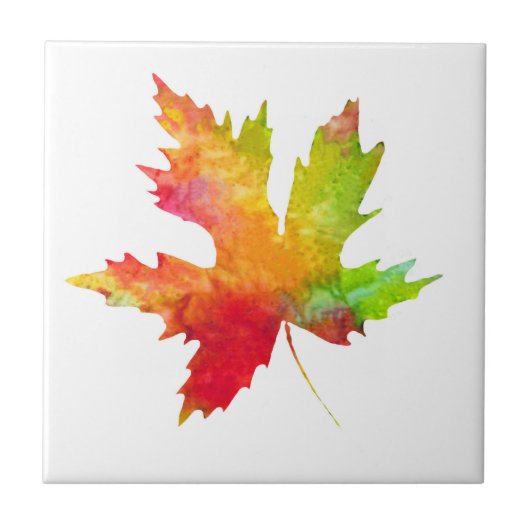 Autumn Maple Leaf Ceramic Tile タイル (正面)