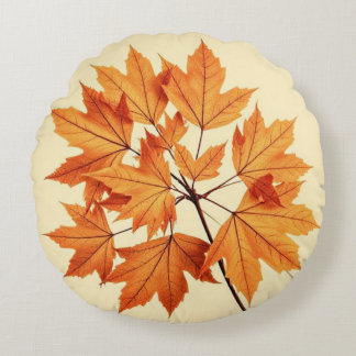 Autumn Maple Leaf Print: Fall Foliage ラウンドクッション