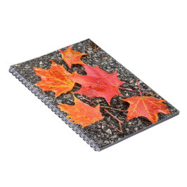 Autumn Maple Leaves Spiral Notebook ノートブック