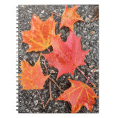 Autumn Maple Leaves Spiral Notebook ノートブック (正面)