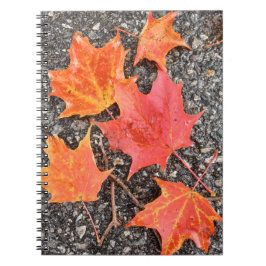 Autumn Maple Leaves Spiral Notebook ノートブック