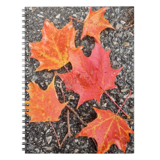 Autumn Maple Leaves Spiral Notebook ノートブック (正面)