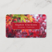 Autumn Maple Tree Leaves, Rustic 名刺 (正面)