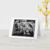 Autumn Mumsあいさつ空白のきカード カード (黄色い花)