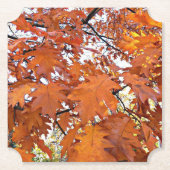 Autumn Oak Leaves Floral ペーパーコースター (正面)