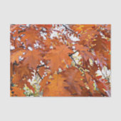 Autumn Oak Leaves Floral 薄葉紙 (正面)