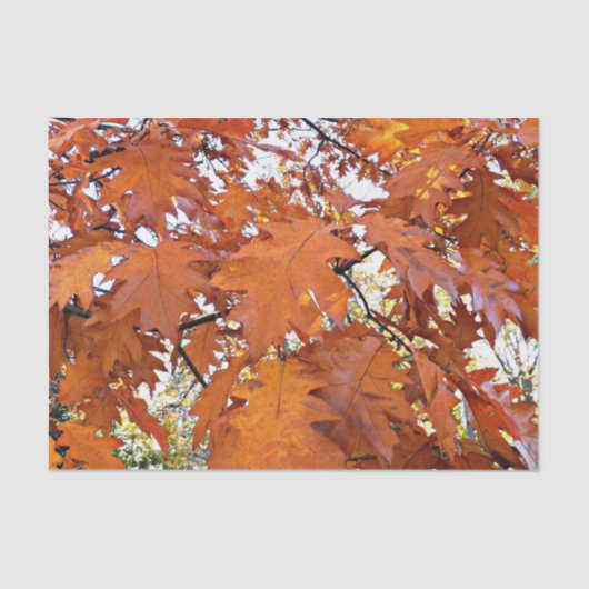 Autumn Oak Leaves Floral 薄葉紙 (正面)