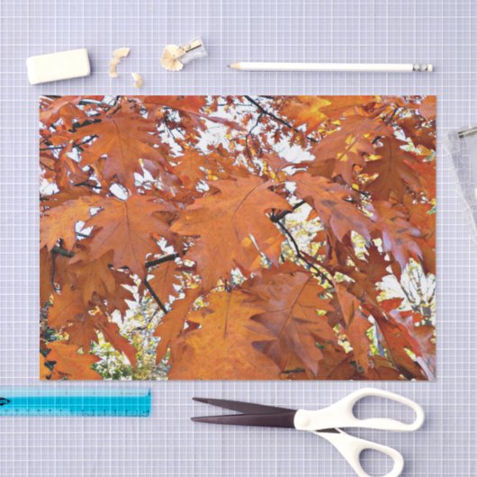 Autumn Oak Leaves Floral 薄葉紙 (クラフト)