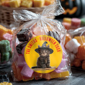 Autumn Orange And Red Kitten Witch Halloween ラウンドシール