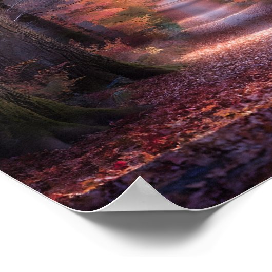 Autumn Path in Vermont Forest Poster ポスター (角)