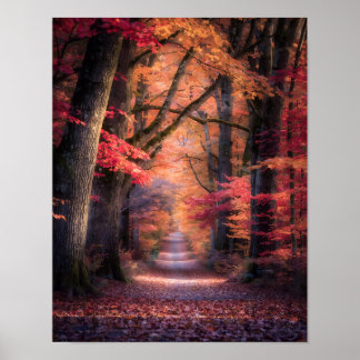 Autumn Path in Vermont Forest Poster ポスター