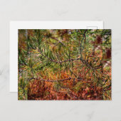 Autumn Pine Needles  シーズンポストカード (正面/裏面)