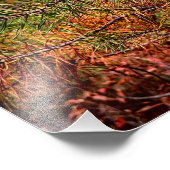 Autumn Pine Needles  フォトプリント (角)