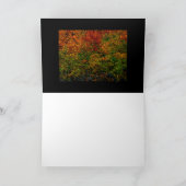 Autumn Rainbow カード (内部)