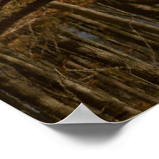 Autumn Reflections  ポスター (角)