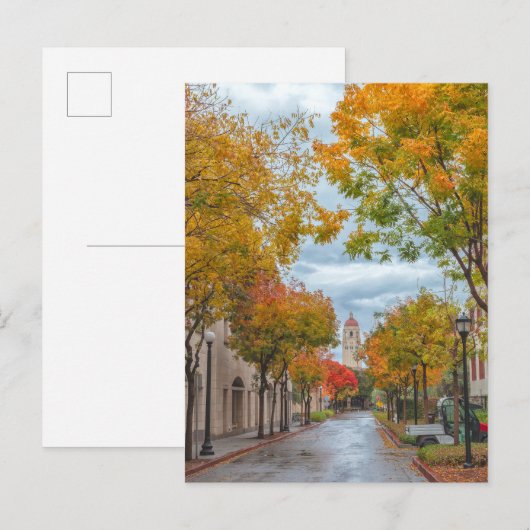 Autumn Scene at Stanford University Campus ポストカード (正面/裏面)