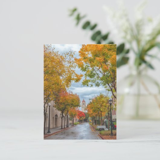 Autumn Scene at Stanford University Campus ポストカード (スタンド正面)