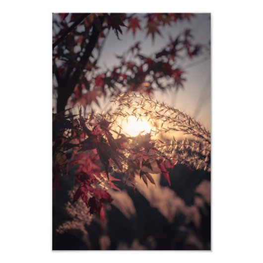 Autumn Scenery in Japan　2023 フォトプリント (正面)