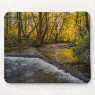 Autumn Serenity Forest Mousepad マウスパッド