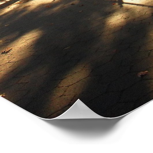 Autumn Sun in Central Park, NYC, Medium ポスター (角)