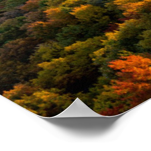 Autumn Sunset | North Carolina ポスター (角)