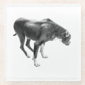 Autumn Table Guardian ガラスコースター (正面)