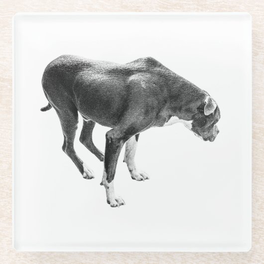 Autumn Table Guardian ガラスコースター (正面)