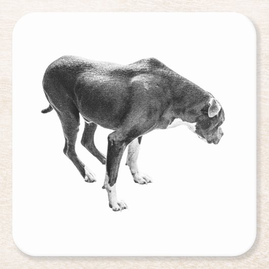 Autumn Table Guardian スクエアペーパーコースター (正面)