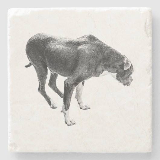 Autumn Table Guardian ストーンコースター (正面)